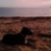 Profile Picture of Christopher Hodges (@christopher-hodges-11) on Quora