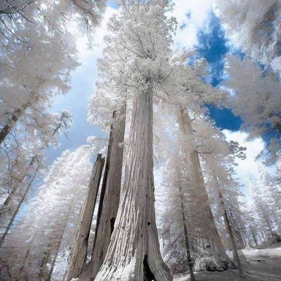 Profile Picture of Cristian Draghici (@ccdraghici) on Poshmark