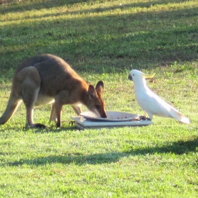 Profile Picture of Caryn Bishop (@CarynBishop) on Twitter