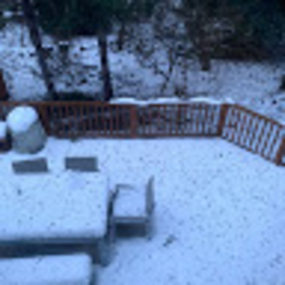 Profile Picture of C v Claux (@cclaux) on Poshmark