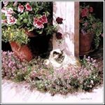 Profile Picture of Dyuzhenkov Eugene (@karmanova8ncbarbara) on Instagram