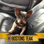 Profile Picture of Chris hiltz (@hiltz_chris) on Instagram