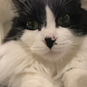 Profile Picture of Nathan Wayman (@nathanwayman7021) on Youtube