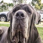 Profile Picture of ZacharyKarger (@jeffnoodletheimpossible) on Instagram