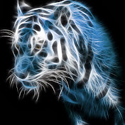 Profile Picture of Andy Lin (@andylin7788) on Youtube