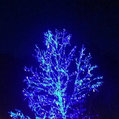 Profile Picture of Dustin Atkins (@@spudde3) on Twitter