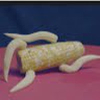 Profile Picture of Vaughn Foster [student] (@vaughn-foster-student) on Quora