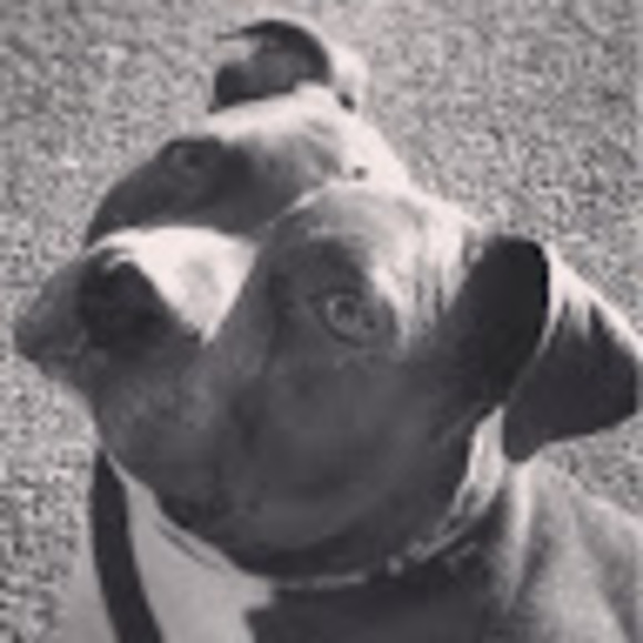 Profile Picture of Becky Lynagh (@rlynagh79) on Poshmark