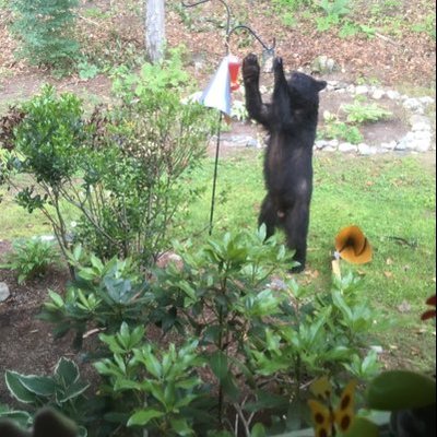 Profile Picture of William Runnells (@WilliamRunnell1) on Twitter