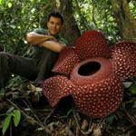 Profile Picture of Jason Mitchell (@jason_the_traveler_) on Instagram