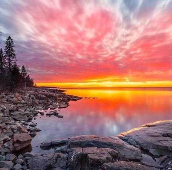 Profile Picture of Nancy Latour (@latourn) on Poshmark