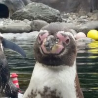 Profile Picture of Brian Larkowsky (@brian-larkowsky) on Quora