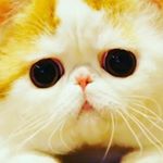 Profile Picture of _Regina_Yapparova_ (@apparovaregina1) on Instagram