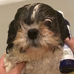 Profile Picture of Sutton Marvin (@suttonmarvin) on Instagram