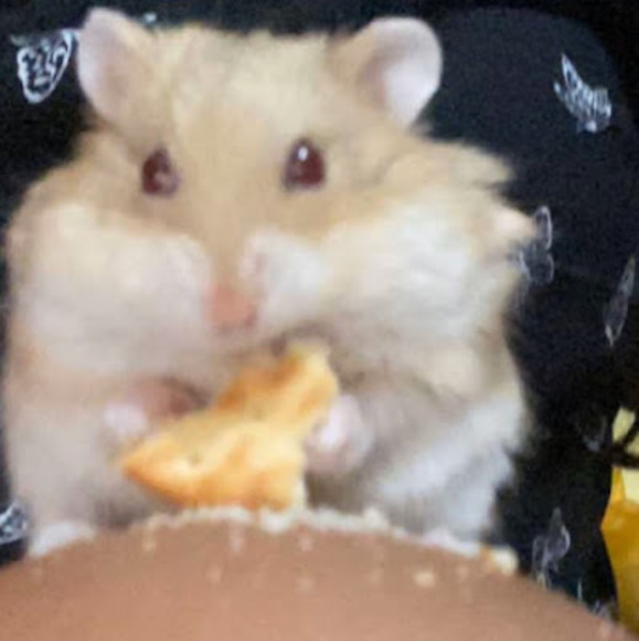 Profile Picture of Adriana Resendiz (@aydriana99) on Poshmark