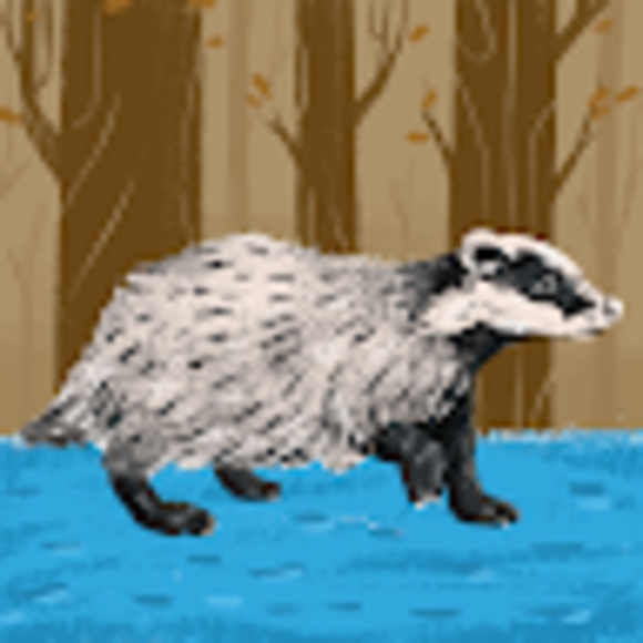 Profile Picture of Cassandra Sheppard (@cassandrashe900) on Poshmark