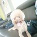 Profile Picture of Collin Kim (@collin.kim.376) on Facebook