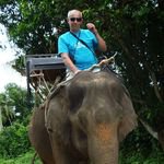 Profile Picture of Nicholas Kalinoski (@1372kalinoskihedgehog) on Instagram