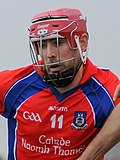 Profile Picture of James Regan (hurler)on Wikipedia