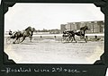 Profile Picture of Rosalind (harness horse)on Wikipedia