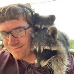 Profile Picture of Andrew.Ormand (@andrew.ormand) on Tiktok