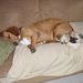 Profile Picture of Sandy Kephart (@kephart0746) on Pinterest