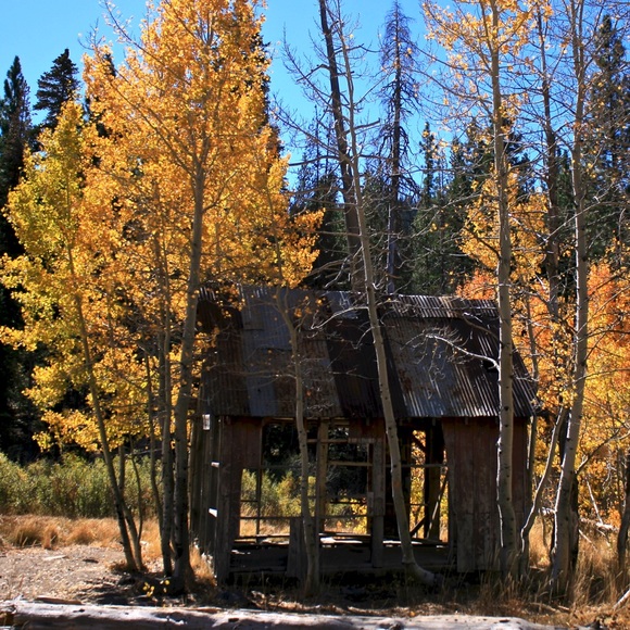 Profile Picture of Gavin Casey (@gavincasey66) on Poshmark