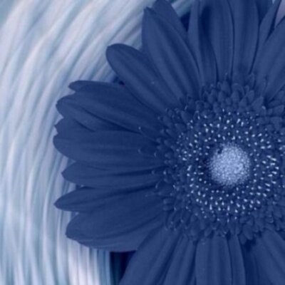 Profile Picture of Randi Clayton (@claytonqxprandi) on Twitter
