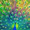 Profile Picture of HarryLink138 (@@harrylink138) on Tiktok