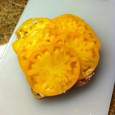 Profile Picture of Ann Andrews (@AnnTAndrews) on Twitter