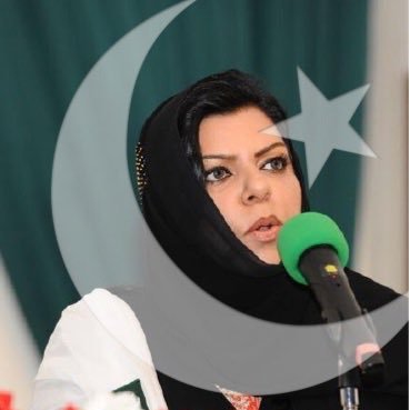 Profile Picture of Senator Sehar Kamran T.I. (@SeharKamran) on Twitter
