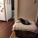 Profile Picture of Michael Row (@michael.row.79219) on Facebook