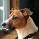 Profile Picture of Nathan Englert (@nateenglert04) on Instagram