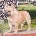 Profile Picture of Barbara Toczek (@barbara.toczek.58) on Facebook