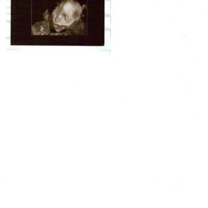 Profile Picture of Sophia  Judd (@219624050) on Myspace