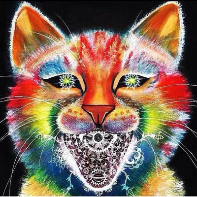 Profile Picture of Jesse Jara (@jessejara13) on Twitter