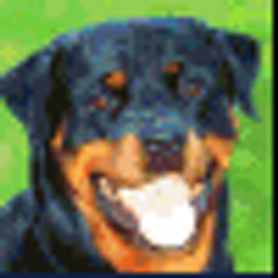 Vaughn Brennan - Twitter Profile Picture of Vaughn Brennan (@sldtoriy) on Twitter