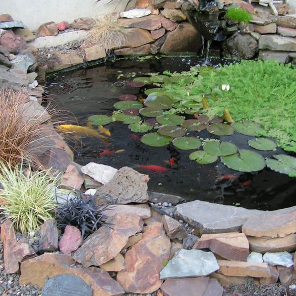 Profile Picture of Johnette Longtain (@tuggie99) on Poshmark