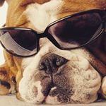 Profile Picture of kenny pelzer (@indiana_jones12345) on Instagram