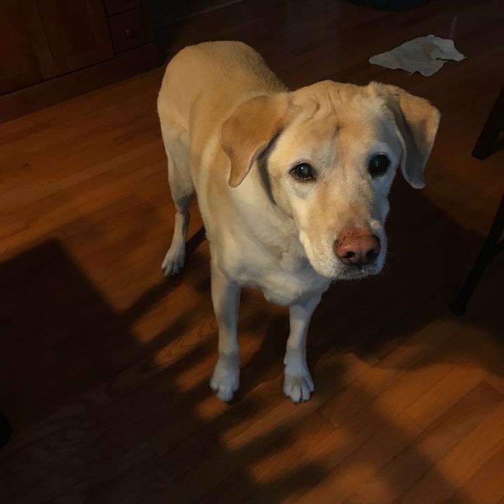 Profile Picture of brettcaps7 (@brettcaps7) on Tiktok