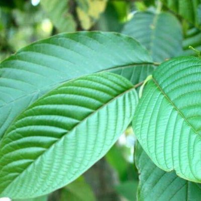 Profile Picture of Lindsey Case (@Lindseycase10) on Twitter