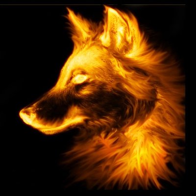 Profile Picture of 7FireWolf7 (@DylanTibbetts7) on Twitter