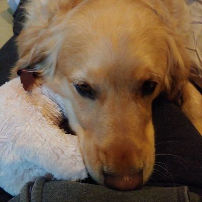 Profile Picture of Benjamin Psaros (@@BenPsaros) on Twitter