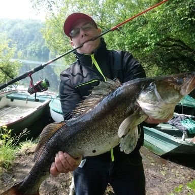 Le Maillot Steven - Twitter Profile Picture of Le Maillot Steven (@LeMaillotSteve1) on Twitter