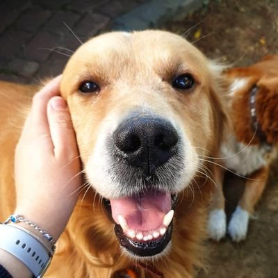 Profile Picture of Aysegul Ozturk (@aysegulozturk86) on Twitter