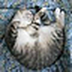 Sam Ram - Flickr Profile Picture of Sam Ram (@samm_ram) on Flickr