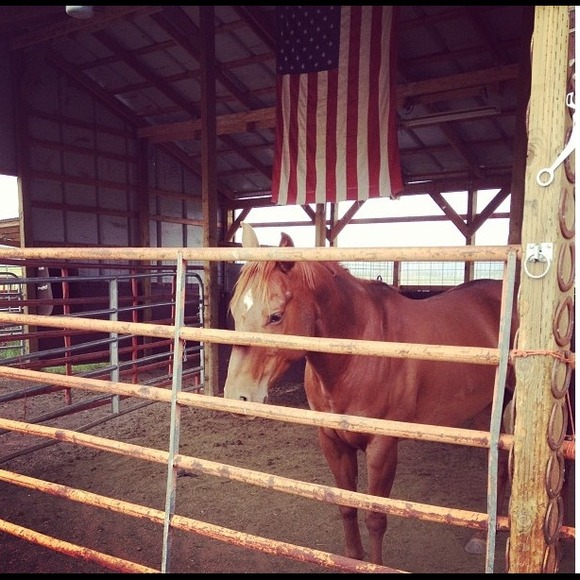 Profile Picture of Alice Peterson (@3_littlebirds) on Poshmark