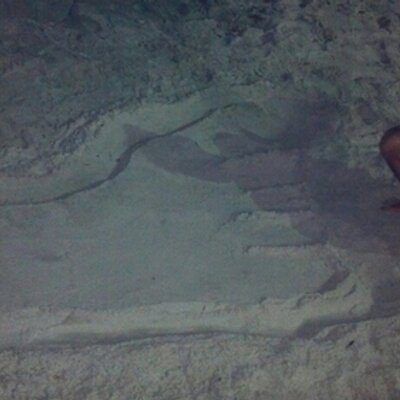 Profile Picture of J. Martin Del Hierroon Twitter
