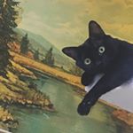 Profile Picture of Martin Frankenstein Riggs (@martinriggscat) on Instagram