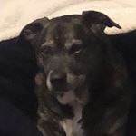 Profile Picture of Matthew Goetz (@matthewgoetzspam) on Instagram